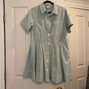 Celadon Stripe Meryl Shirt Dress